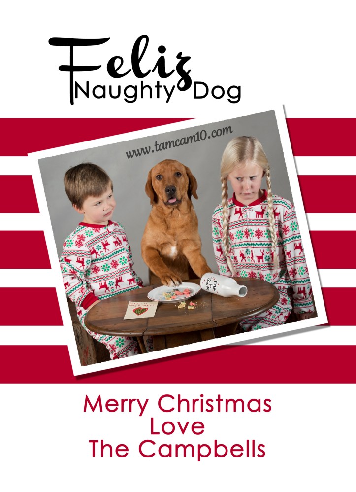 fleliz-naughty-dog-christmas-card-2016-tamcam10