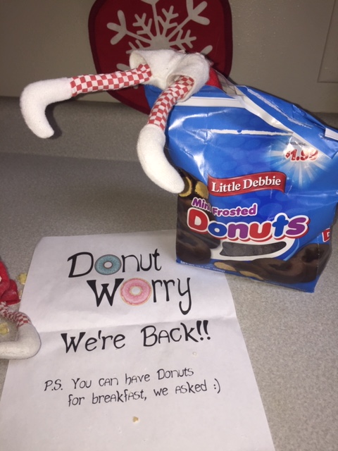 Elf on the Shelf Donut Worry tamcam10 5