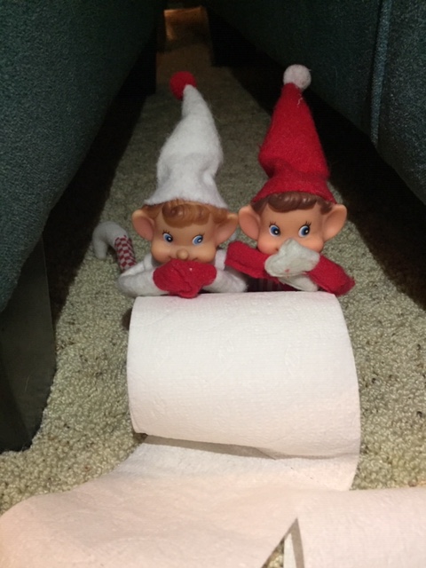Elf on the Shelf TP the Christmas Tree tamcam10 3
