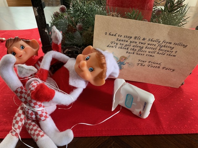 Elf on the Shelf Tooth Fairy tamcam10