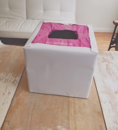 Cardboard box covered in white vinyl and topped with pink tissue paper
