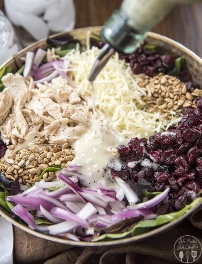 Chicken Cranberry Sunflower Salad Family Reunion Dish LMLD