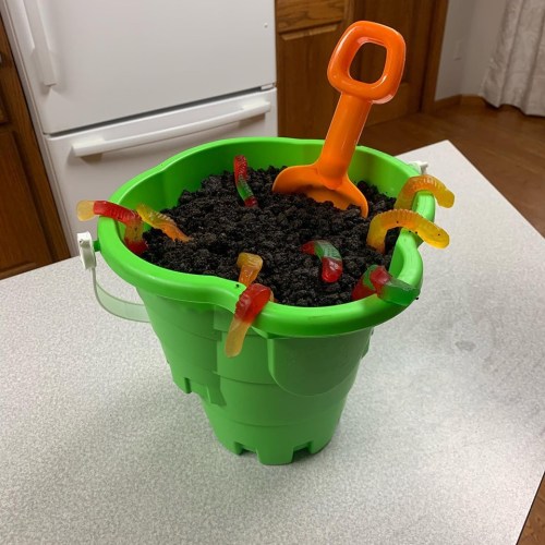 Dirt Pudding Cake What to Bring Family Reunion Pot Luck tamcam10