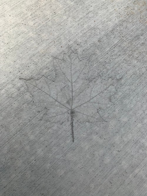 Concrete Front Porch Leaf Impression Home Building