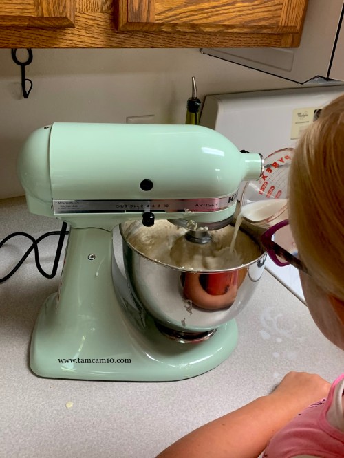 Kitchen Aid Mixer Green tamcam10