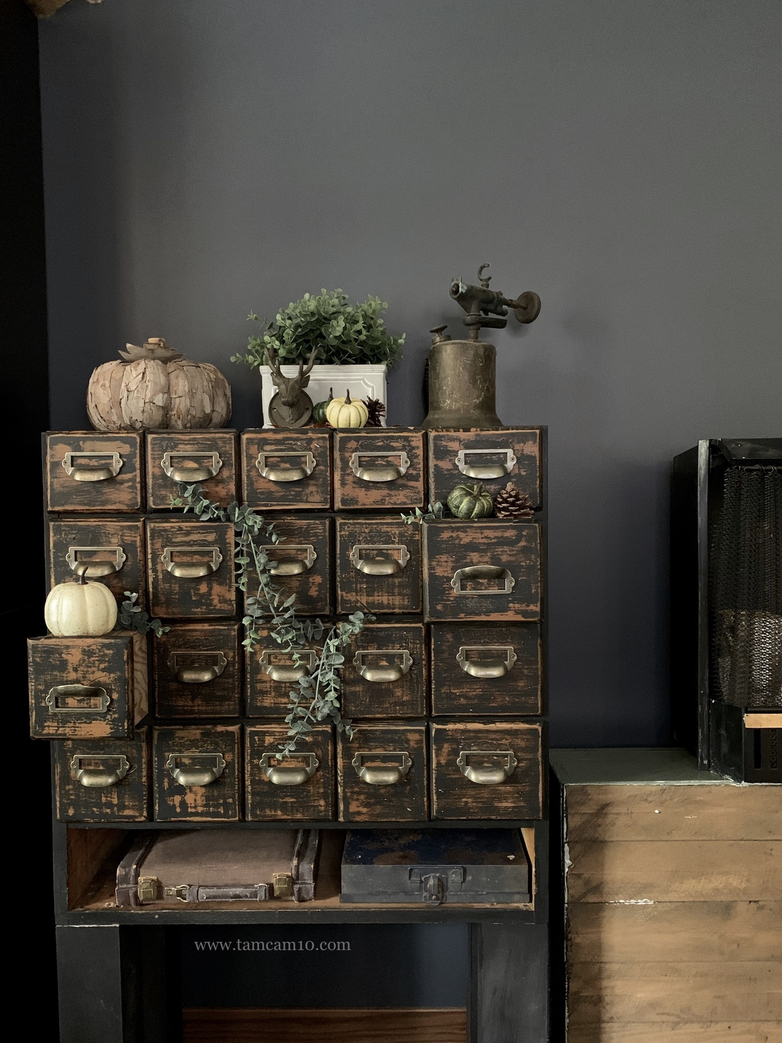 Fall Decor Ideas | Pumpkins | Hanging Eucalyptus | Library Drawers | Furniture DIY | tamcam10 | Vintage